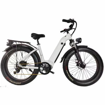 China Aluminum alloy made in China sell well factory direct sales 350W battery 48V 1500W go electric bike for sale