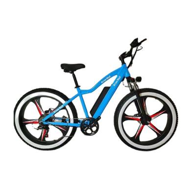 China 2023 strong and durable aluminum alloy mountain environmental protection electric bicycle 350W for sale for sale