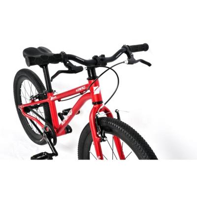 China Aluminum Alloy 20 INCH BMX Frame Bicycle Mountain Bike MTB Aluminum Bicycle for sale