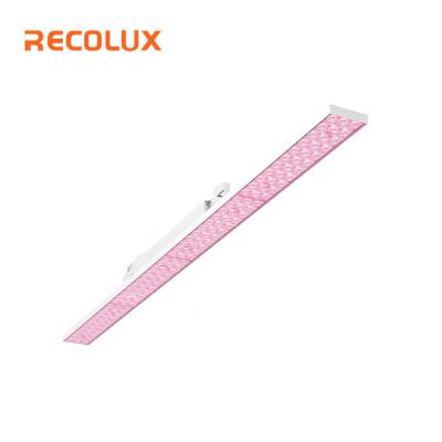 China Retail Store 4ft 1200mm High Quality Pink Color 48W LED Meat Track Light For Supermarket for sale