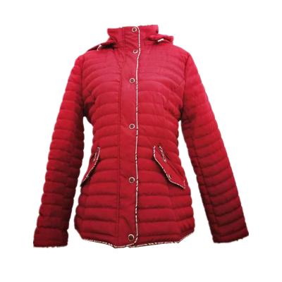 China Cool Hot Sale Plus Size Single Breasted Coat With Zipper Fashion Western Jacket Plus Size Women Ladies Short Cotton Padded Clothing for sale