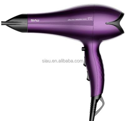 China Professional foldable hair dryers for sale