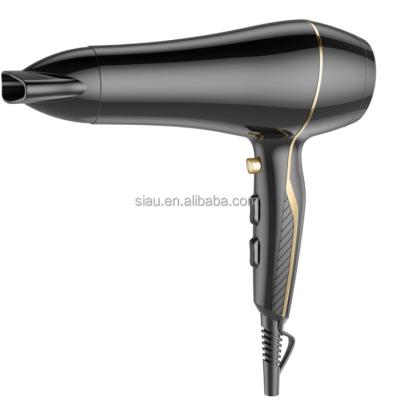 China Ionic lightweight professional hair dryer for sale