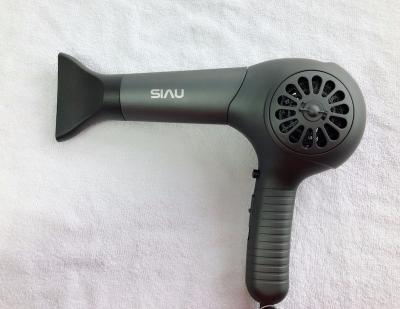 China Low Radiation 1600W Ionic Professional Salon Hair Dryer Korea Hair Dryer Hair for sale