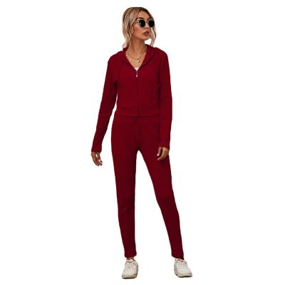 China Anti-pilling fashion women casual solid color hooded cardigan top and pants two piece set long sleeve zipper tops ladies sport casual suit for sale