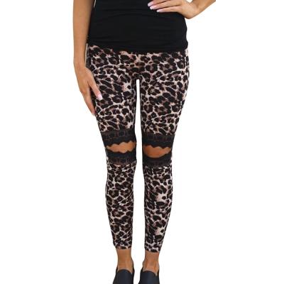 China New anti-static casual hollow lace leopard slim pants for sale