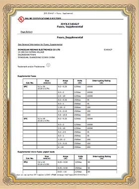 UL - Dongguan Tianrui Electronics Co., Ltd