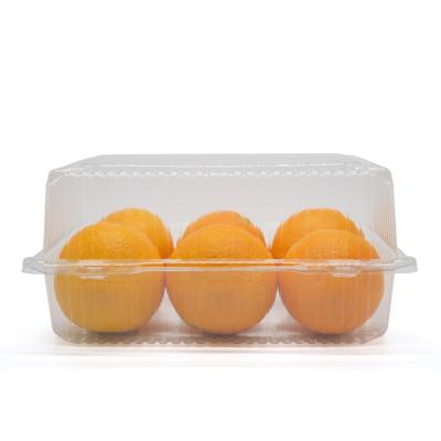 China Customized Disposable Clear Plastic Fruit Clamshell Packaging Box Disposable Fresh Food Packaging Container for sale