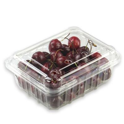 China Factory supply direct disposable plastic clamshell fresh fruit container fresh food take away packaging box for sale