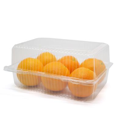 China Disposable Blister Large Clear Plastic Fruit Packing Clamshell Container With Lid for sale