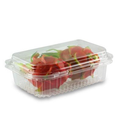 China Disposable Plastic Clear Clamshell Packaging Container Disposable Blister Fresh Fruit Food Take Out Packing Box for sale