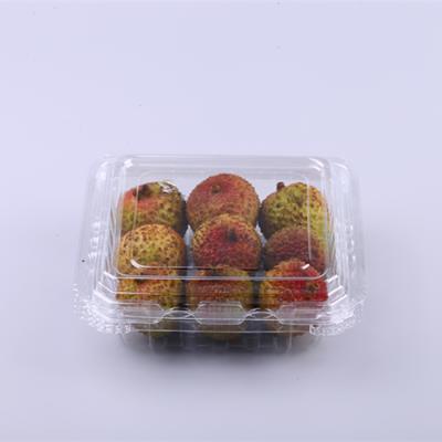 China Custom Disposable Plastic Clamshell Fruit Vegetable Meat Packing Box Take Away Fresh Food Packing Container for sale