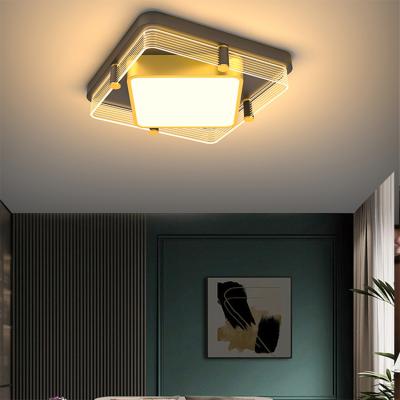 China Living Room Indoor Black Iron LED Bedroom New Product Decoration Outdoor Acrylic Modern Gold Ceiling Lamp for sale