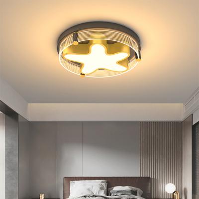 China New Product Round Star Decoration Acrylic Indoor Living Room Bedroom LED Outdoor Modern Ceiling Mounted Lamp 36W 48W for sale