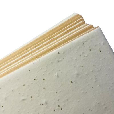 China Waterproof Handmade Seeded Implantable Recycled Note Paper 100 Sheets Customize Seed Paper Candle Dust Cover for sale