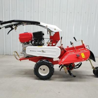 China Cultivate Gasoline Pastoral Tiller Management Machine for sale