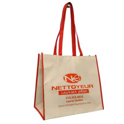 China Custom Logo Handled Reusable Non Woven PP Bag Cheap Price for sale