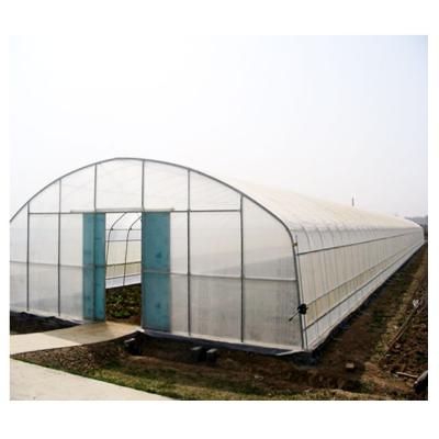 China Simple structure and assemly hydroponic low cost easy tomato other pe plastic sheet singlespan tunnel greenhouses for sale