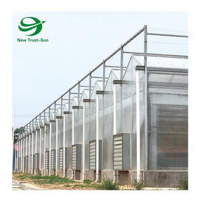 China Planting Vegetables China Customized Hydroponic Growing Systems Polycarbonate Sheet Greenhouse For Sale for sale