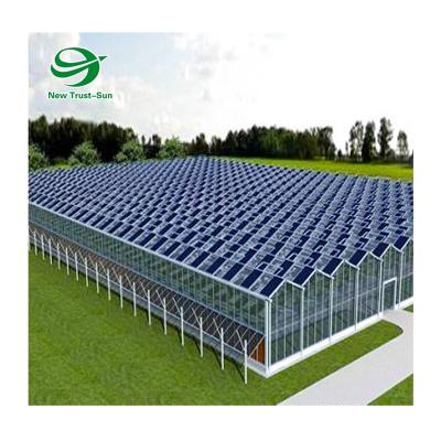 China Planting Polycarbonate Energy Hydroponic Photovoltaic Drive Panel In-solar Venlo Greenhouses for sale