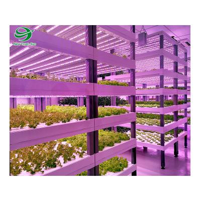 China Stable Structure Easily Assembled Hot Sale Agricultural Vertical Hydroponic Container Box for sale