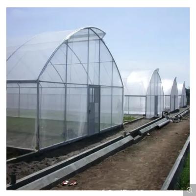 China Simple structure and assemly plastic sheet lettuce lettuce greens tomato hydroponic growing singlespan greenhouse for sale