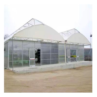 China High Light Transmittance Big Sale Africa Tomato Vegetable Solar Grow Hot Gothic Plant Tunnel Multispan Greenhouses for sale