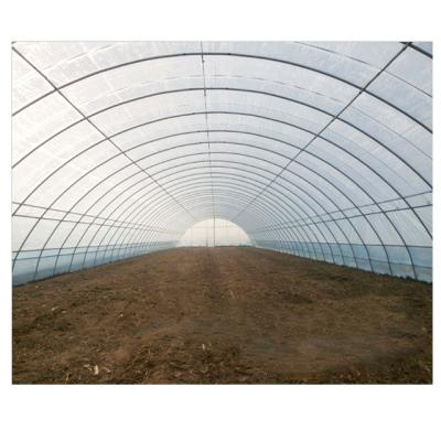 China Simple structure and easy hot assemly Singlespan poly tunnel tomato planter solar growing plastic sheet greenhouses for sale