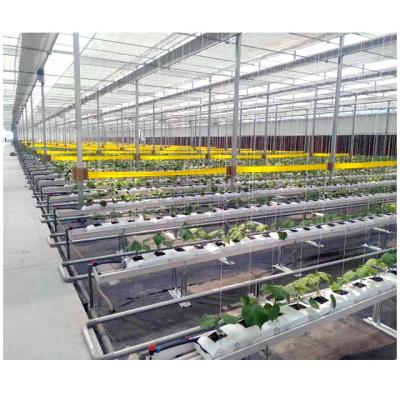 China Hot Sale High Light Transmittance Multi-span Tropical Gothic Hydroponic Vegetable Tunnel Poly Film Greenhouses for sale