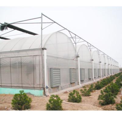 China Versatile PE Agriculture And Aquaculture Film Poly Tomato Hydroponic Growing Greenhouse for sale