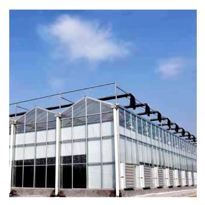 China High Light Transmittance Vegetable Hydroponic Multi-Span Tomato Venlo Glass Greenhouse For Sale for sale