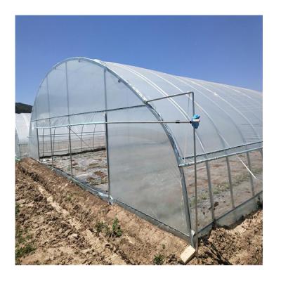 China Simple structure and easy assemly chinese agriculture flower fruit tomato vegetable plastic sheet greenhouses for sale