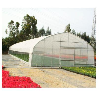 China Simple structure and easy assemly cheap plastic sheet vegetables grow agricultural tunnel Singlespan greenhouses for sale for sale