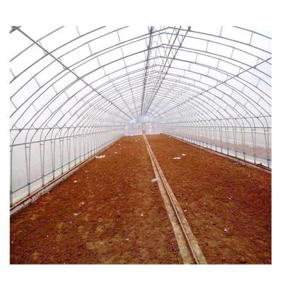 China Easily Assembled Low Cost 200 Micron Plastic Film Agriculture Vegetables Tunnel Arch Single-Span Greenhouse for sale