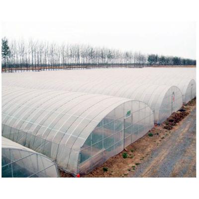 China Simple structure and easy assemly cheap cost effective singlespan 200 micron plastic sheet agriculture tiller tunnel greenhouses for sale