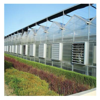 China Planting vegetables polytunnel greenhouse UV permeable polycarbonate sheet glazing panels with nft channel europe for sale