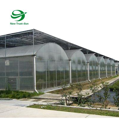 China Planting Vegetables Commercial Polycarbonate Sheet Covered Agricultural Climate Control Systems Greenhouse for sale