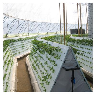 China Full Automatic Stable Structure And Intelligent Polycarbonate Hydroponic Agricultural Greenhouse Grow Systems for sale