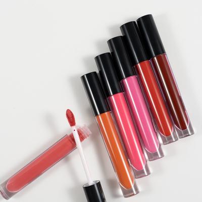 China Plumper Luxury Wholesale Lip Gloss Lip Gloss Waterproof Glitter Waterproof Natural Lip Gloss for sale