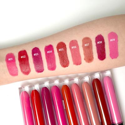 China Waterproof Your Logo Private Label Matte Waterproof Pigmented Lip Gloss For Women for sale