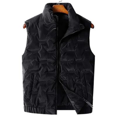 China Windproof Manufacturers Supply Fashion High Quality Breathable Padded Custom Down Stripper Vest Jacket Men for sale