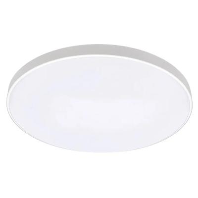 China Modern Decorative Indoor Lighting Modern Design Smart WIFI Homekit Control RGB Ceiling Lamps IP54 Waterproof Led Ceiling Light for sale