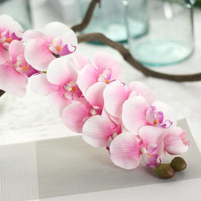 China Beautiful Orchid Flowers Simulation Colorful Decorative Plant Touch Artificial Orchids Real White for sale