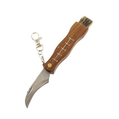 China Hot Selling Non-variable Sharp Stainless Steel Blade Wood Handle Mushroom Serving Knife With Brush for sale