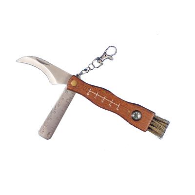 China Slide Medium Size Brush Stainless Steel Mushroom Open Knife With Ruler And Compass for sale