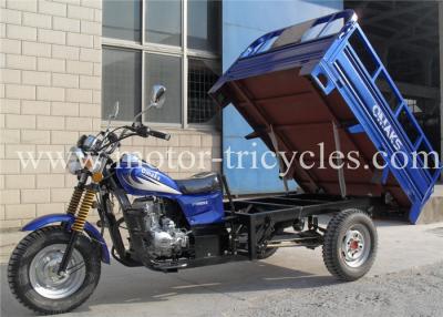 China Cargo Box Eec Gas Motorized Cargo Trike  Three Wheel Tri Motorcycle RS200ZH-E for sale