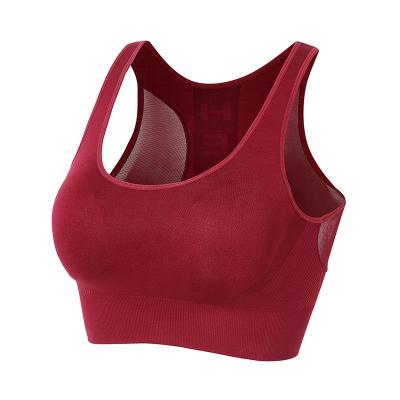 China Fashion Breathable Workout Breathable Insert Mesh Net Bra Fitness Push Up Sports Wear Yoga Bra For Women for sale