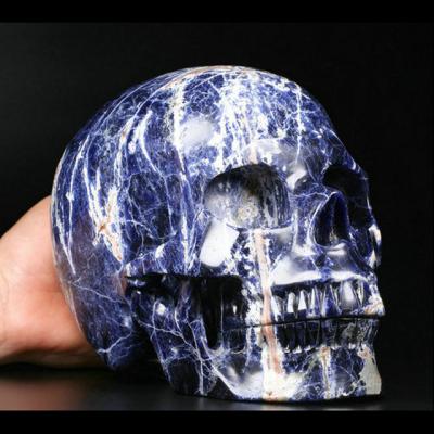 China China Natural Sodalite Crystal Skull Hand Carved Crystal Healing Quartz Skulls For Decoration for sale