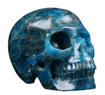 China Mr. Skull China Natural Hand Carved Gemstone Skulls 3.5 Inch Kyanite Skulls Healing Crystals For Gift for sale