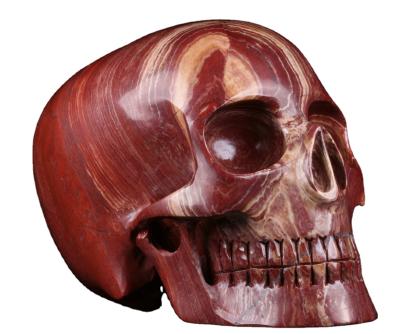 China China Mr. Skull Natural Huge 5.0